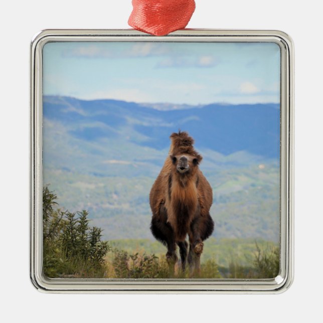 Walk with Muffin Ceramic Ornament (Framsidan)