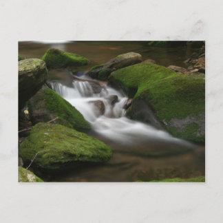 Walker Bäck vycard Vykort