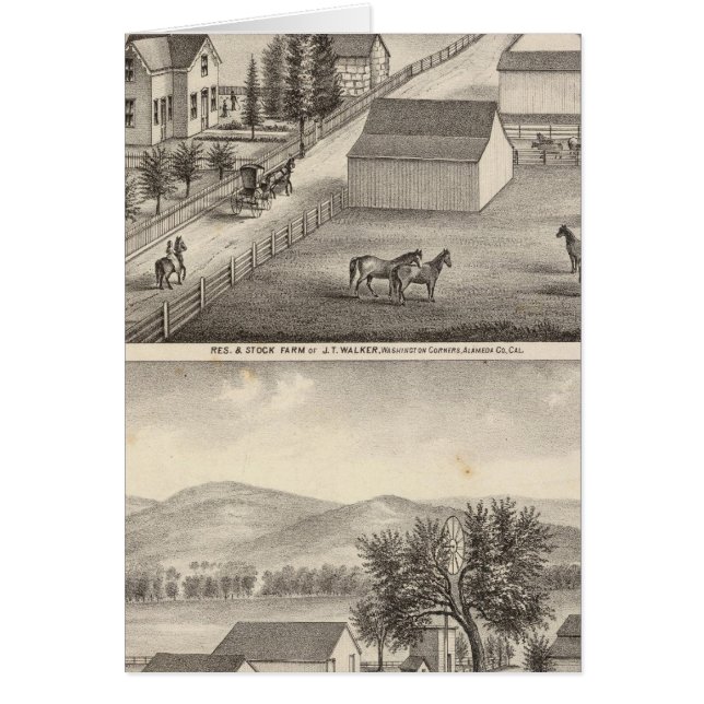Walker, Knittel-bostäder, gårdar Hälsningskort (Framsidan)