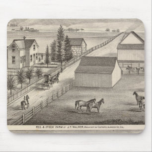 Walker, Knittel-bostäder, gårdar Musmatta
