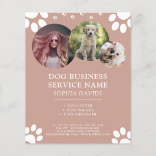 Walker Pet Sitta Business Anpassningsbar Photo Flygblad
