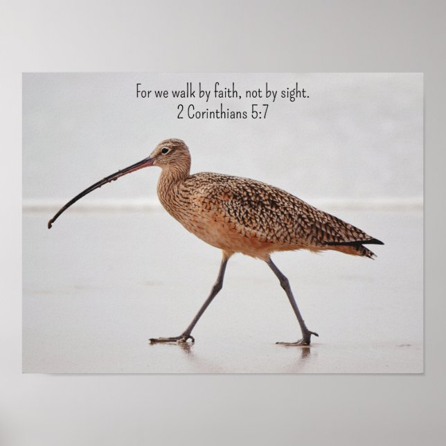 Walking Beach Bird and Bible Verse Art Poster (Framsidan)