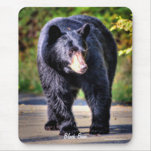 Walking Black Bear Wildlife Image for Animal-älska Musmatta