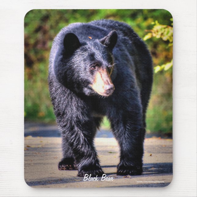 Walking Black Bear Wildlife Image for Animal-älska Musmatta (Framsidan)
