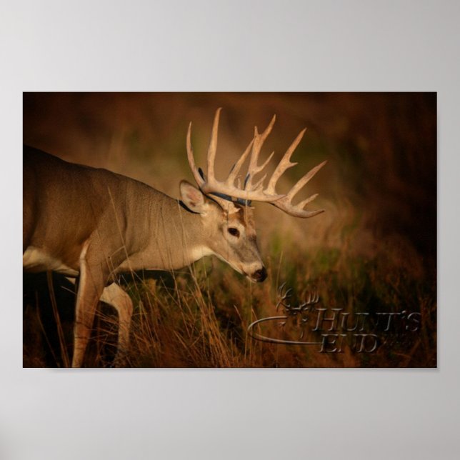 Walking Buck Poster (Framsidan)