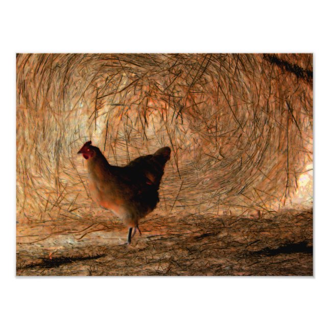 "Walking" - Digitalt Enhanced Photo Chicken & Hay Fototryck (Framsidan)