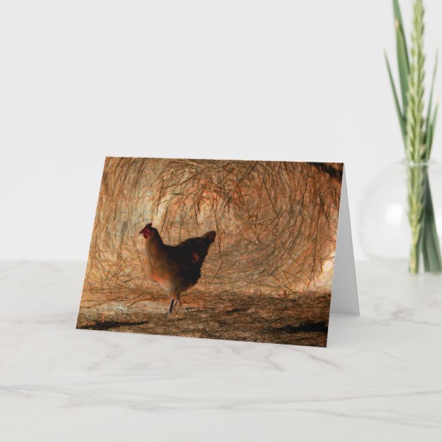 "Walking" - Digitalt Enhanced Photo Chicken & Hay Kort (Framsida)