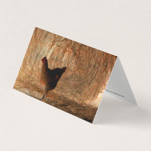 "Walking" - Digitalt Enhanced Photo Chicken & Hay Kort