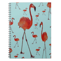 Walking Flamingoes