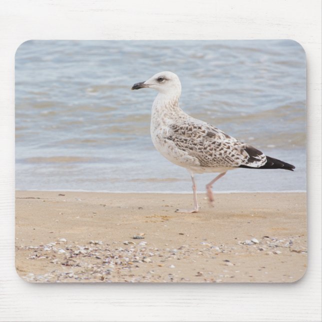 Walking gull musmatta (Framsidan)