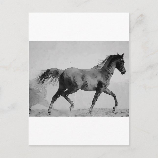 Walking Horse Black & White Vykort (Framsida)
