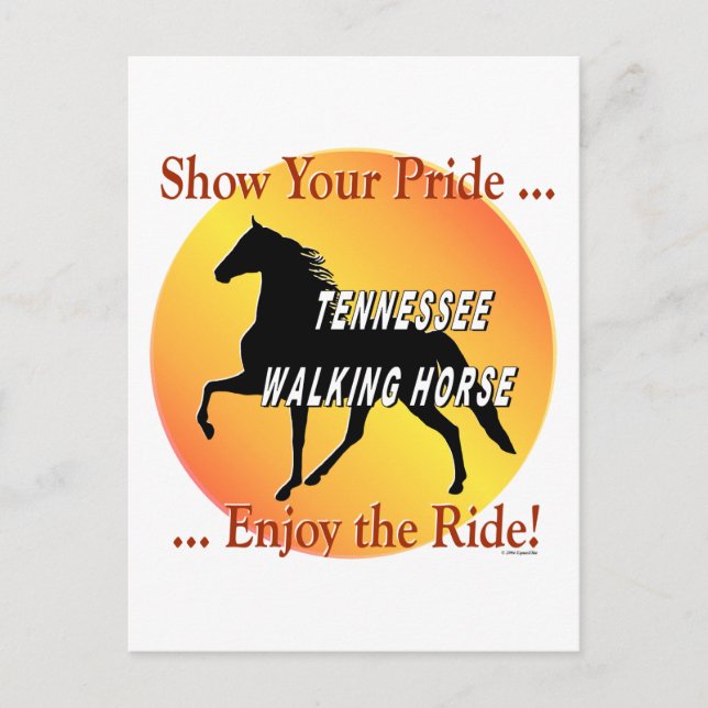 Walking Horse Pride Vykort (Framsida)