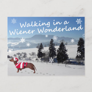 Walking in a Wiener Wonderland Vykort