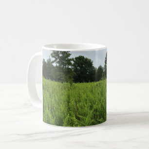 Walking in the Forest, Chester, South Carolina Can Kaffemugg