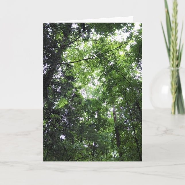 Walking in the Forest, Chester, South Carolina Kort (Framsida)