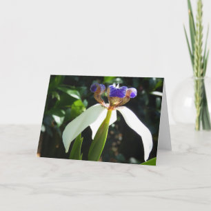 "Walking Iris 2." Kort för hälsning