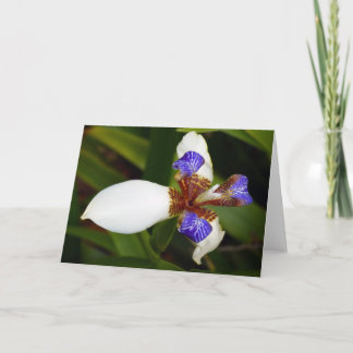 "Walking Iris". Kort för hälsning