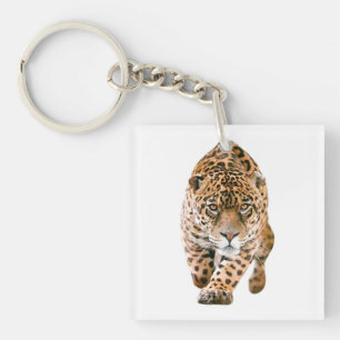 Walking Jaguar Öga