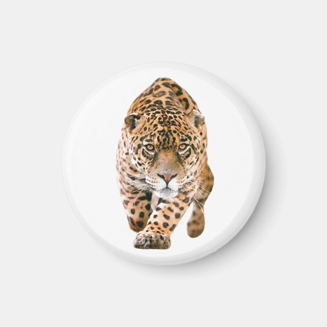 Walking Jaguar Öga Magnet (Framsidan)