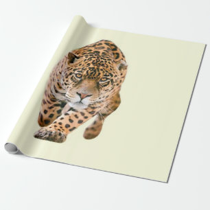 Walking Jaguar Öga Presentpapper