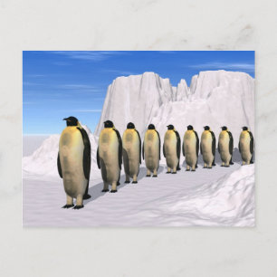Walking Penguins Vykort