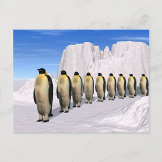 Walking Penguins Vykort