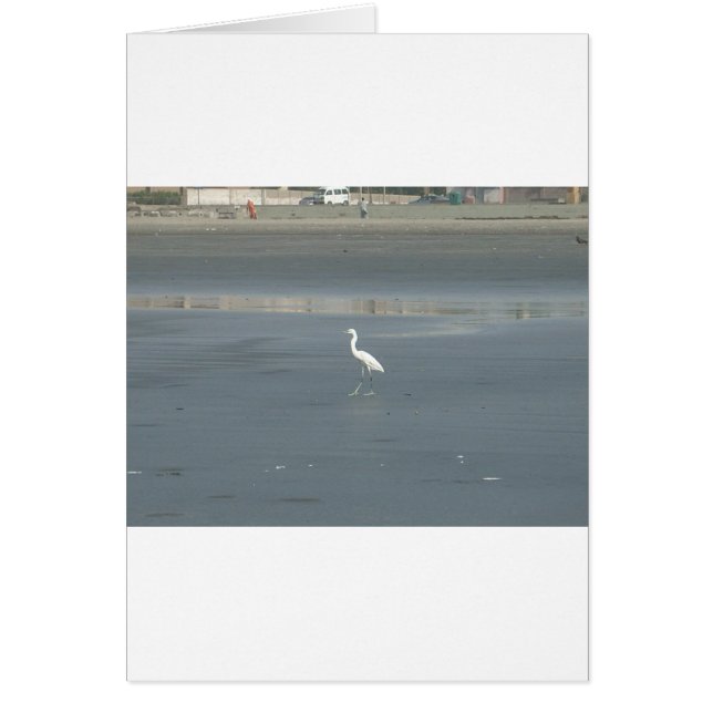 Walking solo.JPG Hälsningskort (Framsidan)