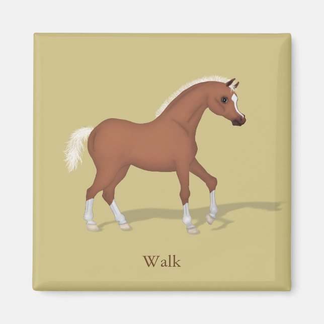 Walking Sorrel Foal Gaits of the Horse Magnet (Framsidan)