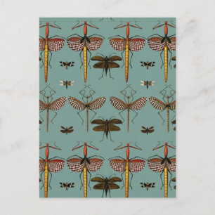 Walking sticks, Katydids och Dragonflies Vykort