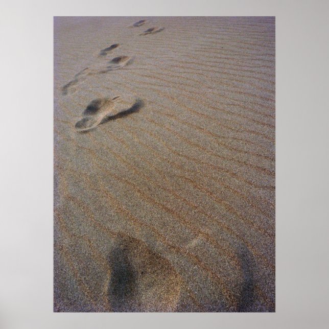 Walking the Beach Poster (Framsidan)
