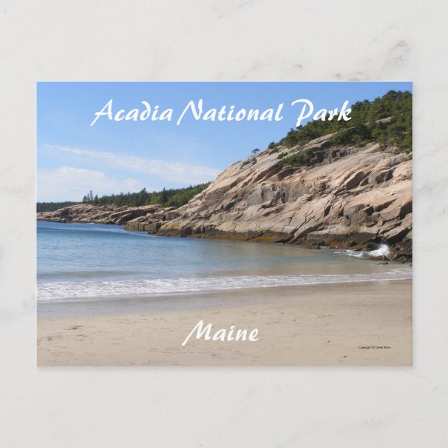 Walking the Seashore Vykort (Framsida)