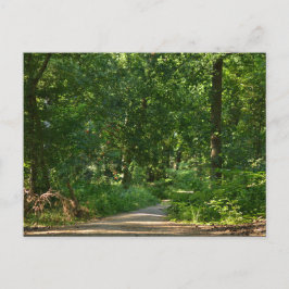 Walking through the trees vykort