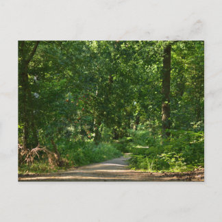 Walking through the trees vykort