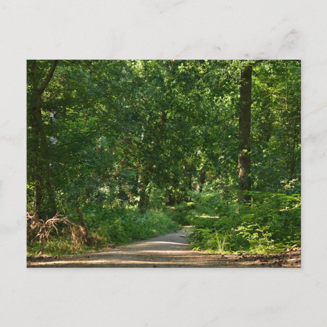 Walking through the trees vykort (Framsida)