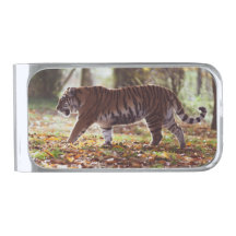 Walking Tiger Money Clip
