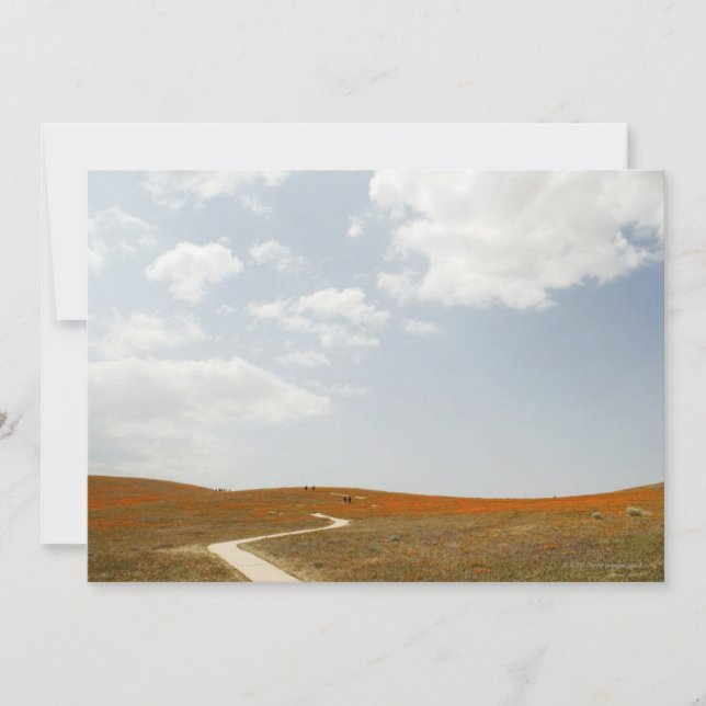 Walking Trail (Framsida)