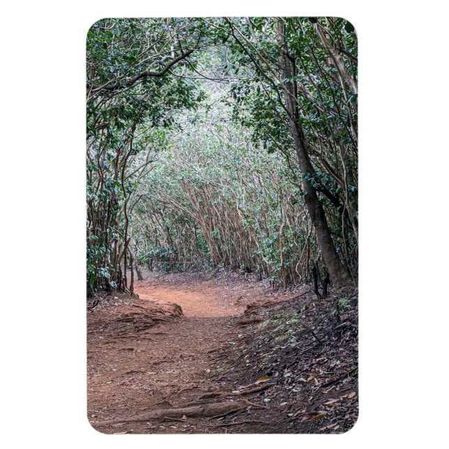 Walking Trail Photo Magnet (Vertikal)