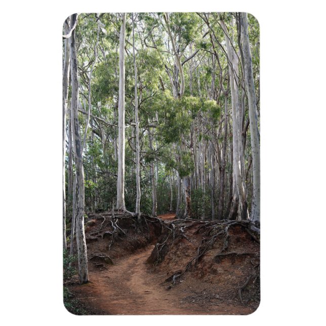Walking Trail Photo Magnet (Vertikal)