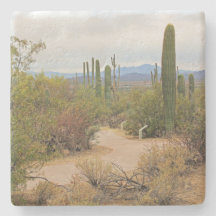 Walking Väg i öknen i Arizona, sq underlägg