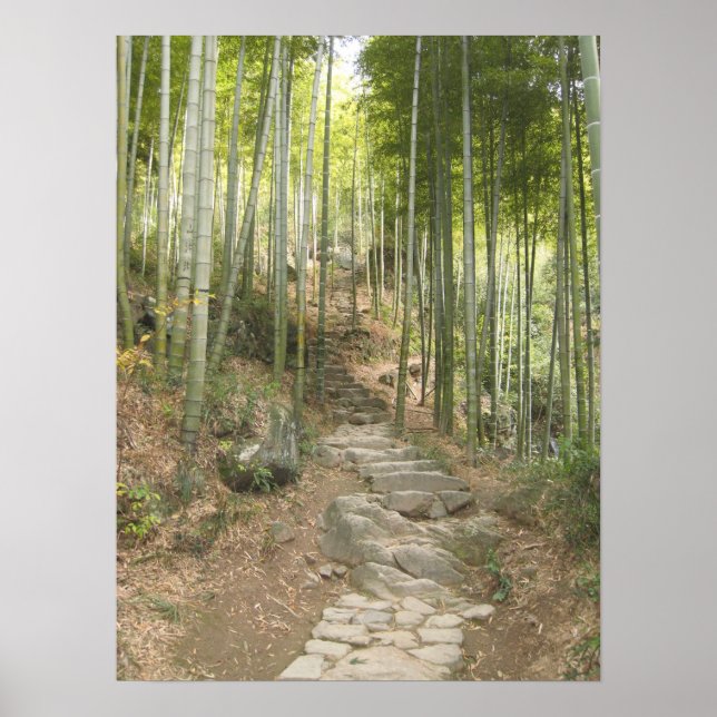 Walking with Bamboo Poster (Framsidan)