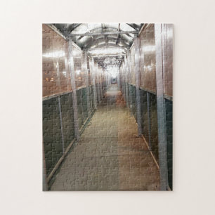 Walkway canopy awanishing jigszons puzzle pussel