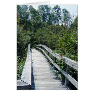 "Walkway, Grönt Mountain National Forest" Hälsningskort