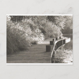 walkway.jpg vykort