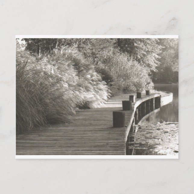 walkway.jpg vykort (Framsida)