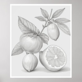 Wall Art citrus träd poster