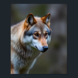 Wall Art &decor Poster<br><div class="desc">This image was used by Author Selene Dacario to depict one of the werewolves in her debut novel The Betrayal</div>