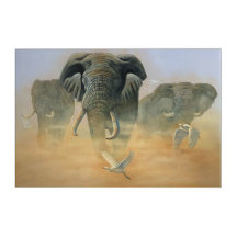 Wall Art Elephants Savuti
