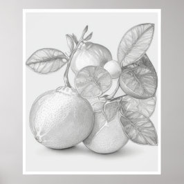 Wall Art-frukt poster