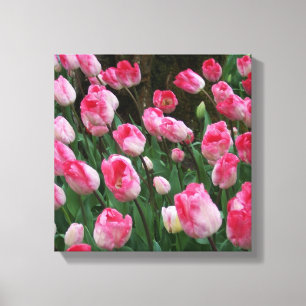 Wall Art Rosa Tulips Canvastryck