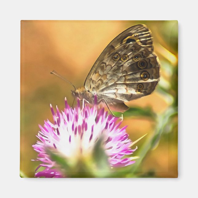 Wall Brown Butterfly Lasiommata megera Painting Magnet (Framsidan)